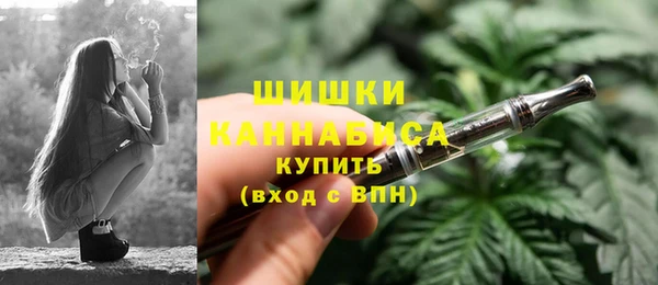 ГАЛЛЮЦИНОГЕННЫЕ ГРИБЫ Заволжье