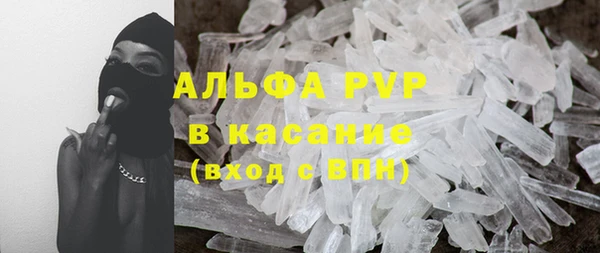 ГАЛЛЮЦИНОГЕННЫЕ ГРИБЫ Заволжье