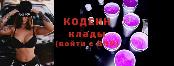 ГАЛЛЮЦИНОГЕННЫЕ ГРИБЫ Заволжье