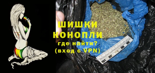 ГАЛЛЮЦИНОГЕННЫЕ ГРИБЫ Заволжье