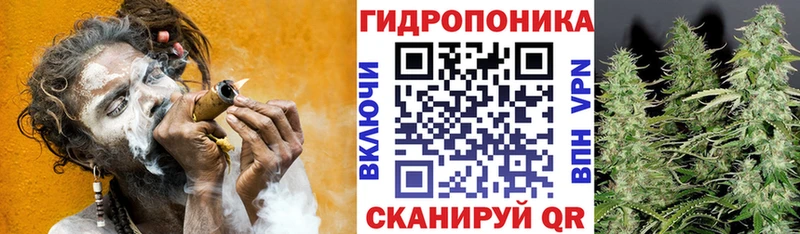 Марихуана гибрид  Купить где  Дубовка 